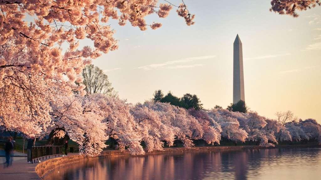 Hyatt Place Dc/white House 3* Washington
