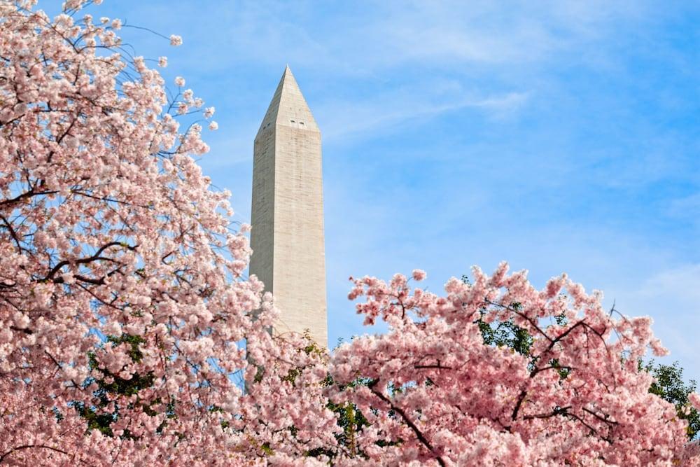 Hotel Hyatt Place Dc/white House 3*